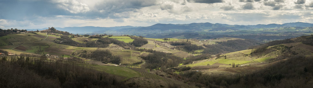 Oingt et le Beaujolais des Pierres Dorrées