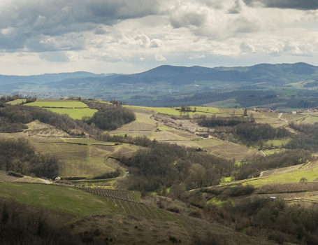 Oingt et le Beaujolais des Pierres Dorrées