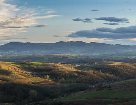 Oingt et le Beaujolais des Pierres Dorrées